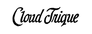 CLOUD TRIQUE logo