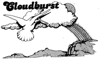 CLOUDBURST logo