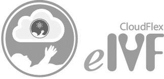 CLOUDFLEX EIVF logo