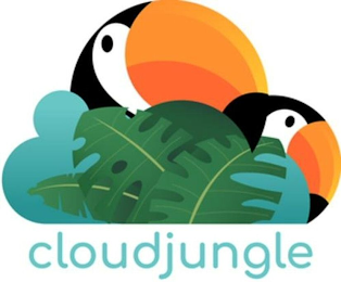 CLOUDJUNGLE logo