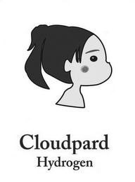 CLOUDPARD HYDROGEN logo