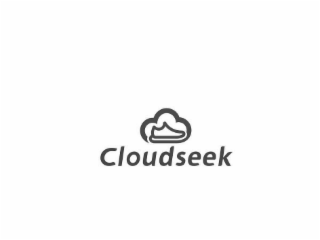 CLOUDSEEK logo
