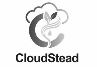 CLOUDSTEAD logo