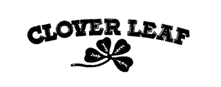 CLOVER LEAF logo