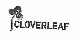 CLOVERLEAF logo