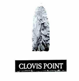 CLOVIS POINT logo