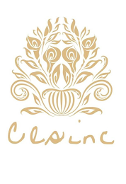 CLSINC logo