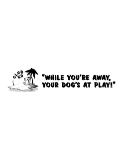 CLUB K9 "WHILE YOU'RE AWAY, YOUR DOG'S AT PLAY!" logo