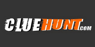 CLUEHUNT.COM logo