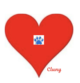 CLUNY logo