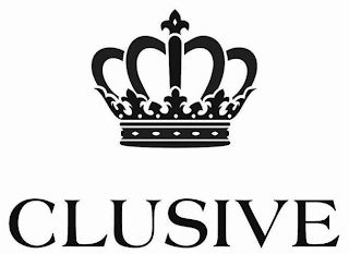 CLUSIVE logo