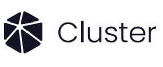 CLUSTER logo