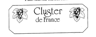 CLUSTER DE FRANCE logo