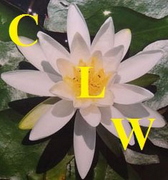 CLW logo