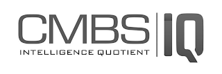 CMBS INTELLIGENCE QUOTIENT IQ logo