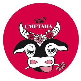 CMETAHA