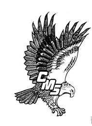 CMS logo