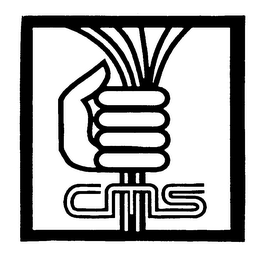CMS logo