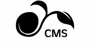 CMS logo