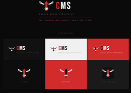 CMS CARTER MACRO STRATEGIES INSTITUTIONAL INTELLIGENCE · MAIN STREET ACCESS logo