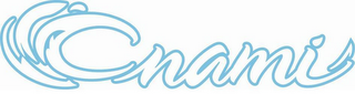 CNAMI logo