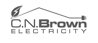 C.N.BROWN ELECTRICITY logo
