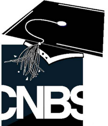 CNBS logo