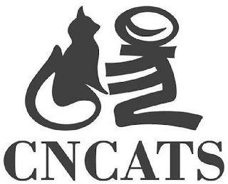 CNCATS logo