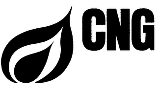 CNG logo
