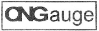 CNG AUGE logo