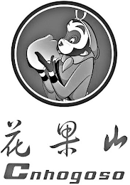 CNHOGOSO logo