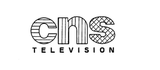CNS TELEVISION logo