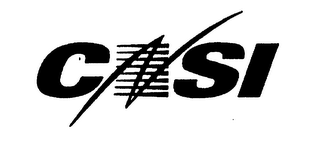CNSI logo