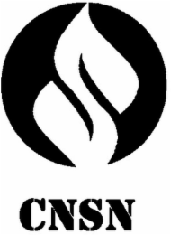 CNSN logo