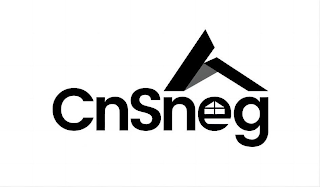 CNSNEG logo