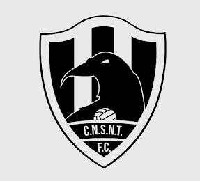 C.N.S.N.T. F.C. logo
