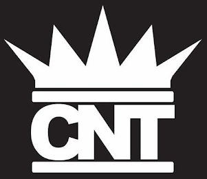 CNT logo