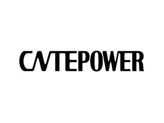 CNTEPOWER logo