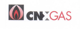CNX GAS logo
