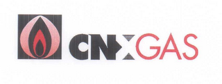 CNX GAS logo