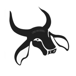 CNXINCHENG logo