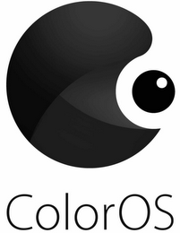 CO COLOROS logo