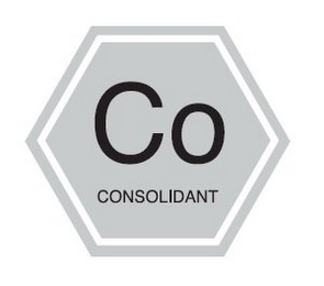 CO CONSOLIDANT logo