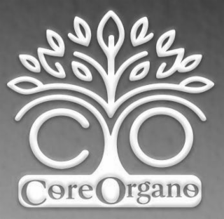 CO CORE ORGANO logo
