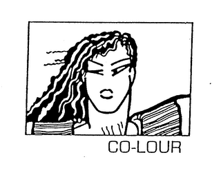 CO-LOUR logo