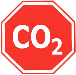 CO2 logo