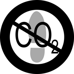 CO2 logo