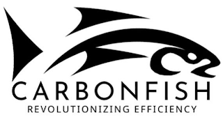 CO2 CARBONFISH REVOLUTIONIZING EFFICIENCY logo