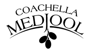 COACHELLA MEDJOOL logo