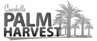 COACHELLA PALM HARVEST logo